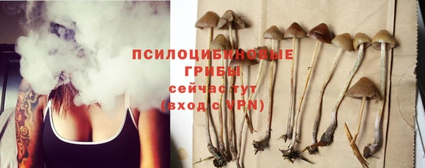 спайс Богородск