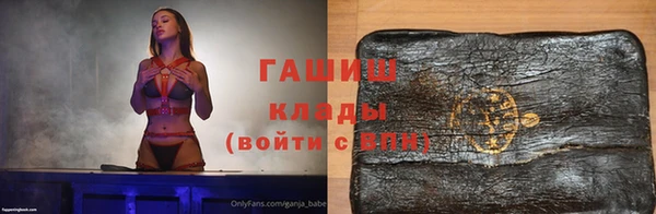 твердый Бородино