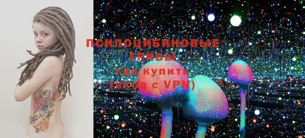твердый Бородино