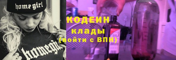 твердый Бородино