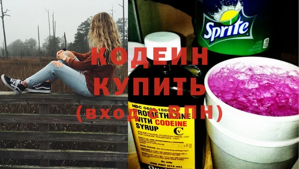 твердый Бородино
