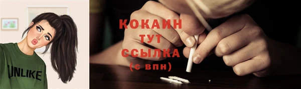 твердый Бородино