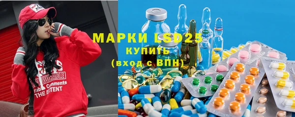 твердый Бородино