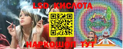 кокс Гатчина