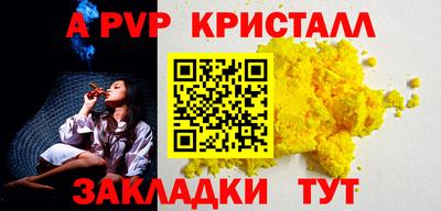 кокс Гатчина