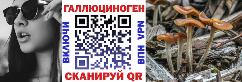наркошоп  Гулькевичи  Галлюциногенные грибы прущие грибы 