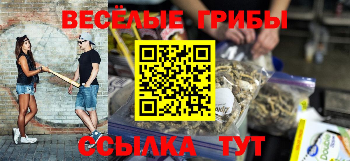 как найти закладки  Галлюциногенные грибы мицелий  Гулькевичи  Псилоцибиновые грибы MAGIC MUSHROOMS 