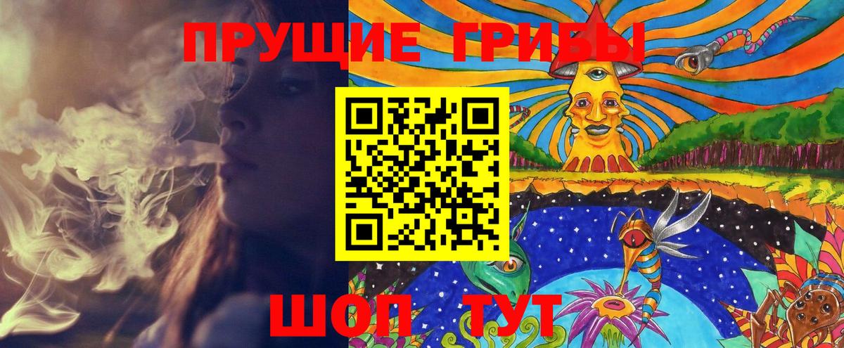 Псилоцибиновые грибы MAGIC MUSHROOMS Гулькевичи