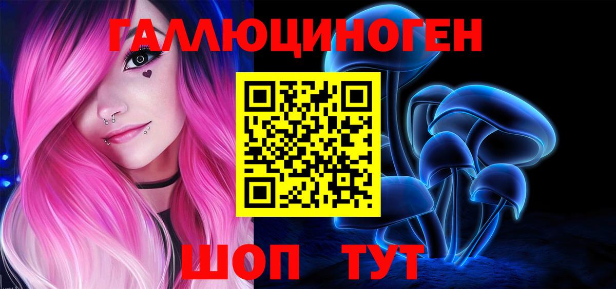 Псилоцибиновые грибы Cubensis  Вход с VPN  Гулькевичи 